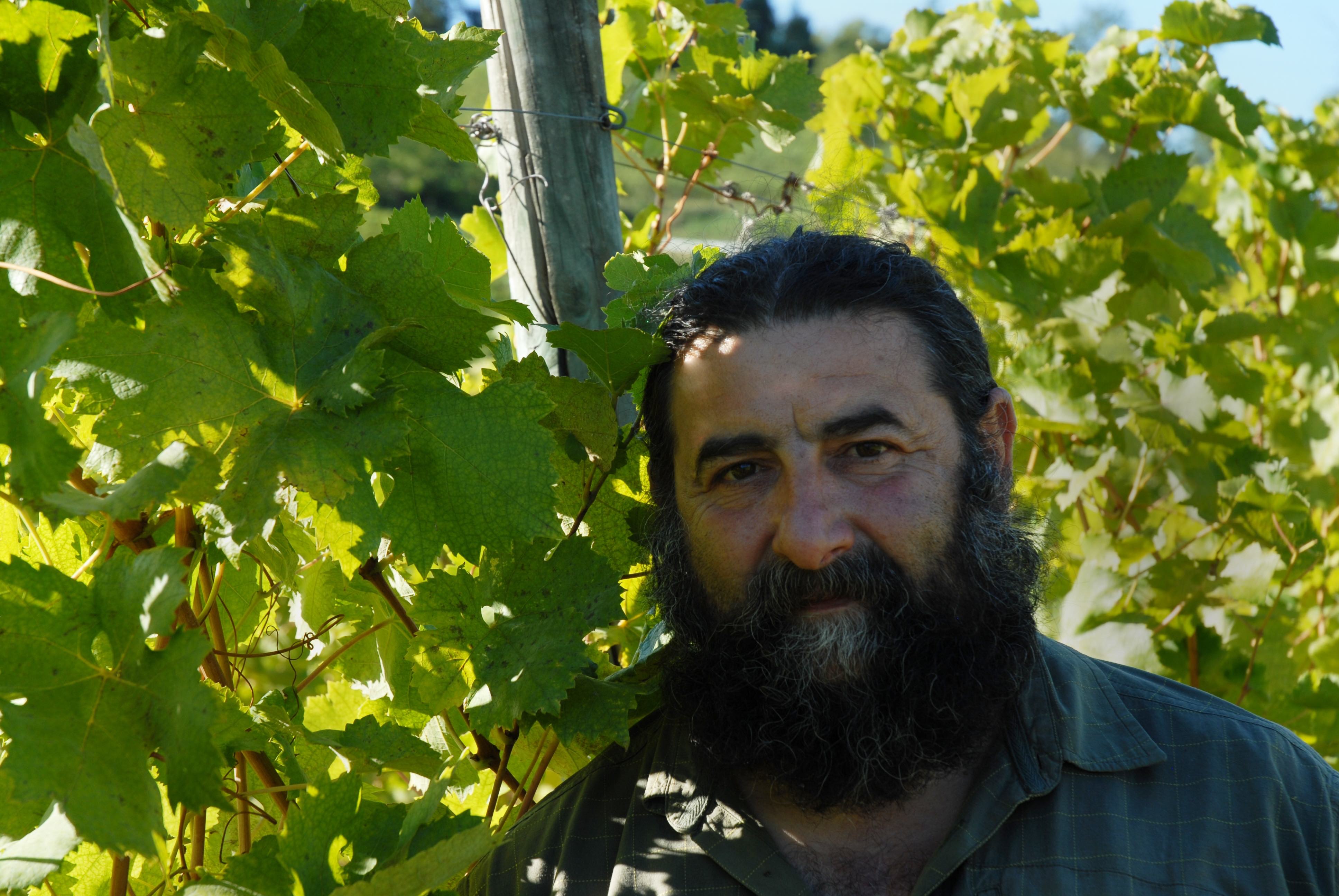 Contratto – vinice